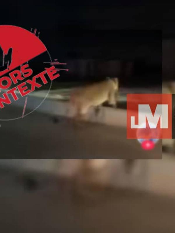 Illustration LokutaMabe